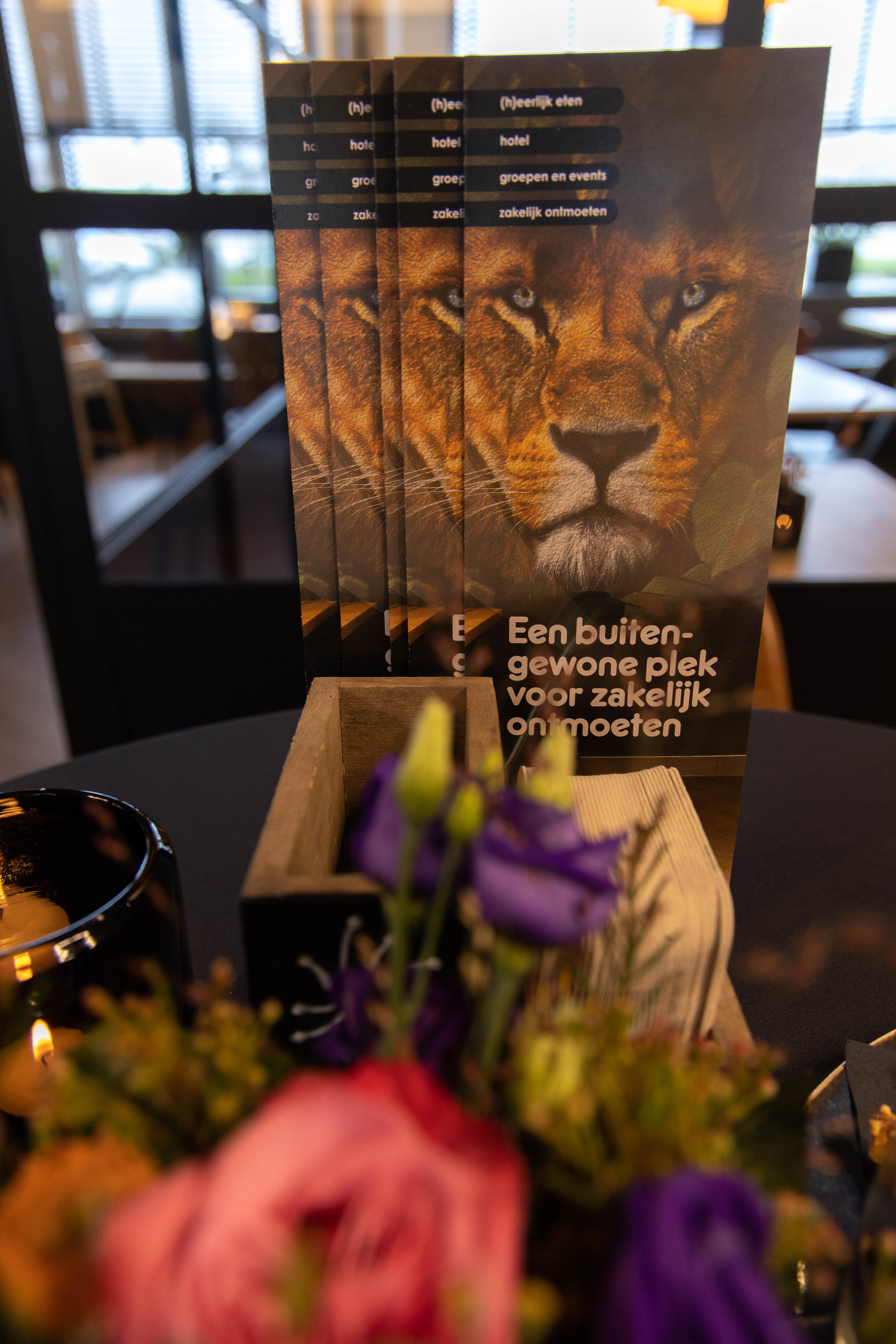 Gouden_Leeuw_270123_16.jpeg Gouden_Leeuw_270123_16.jpeg