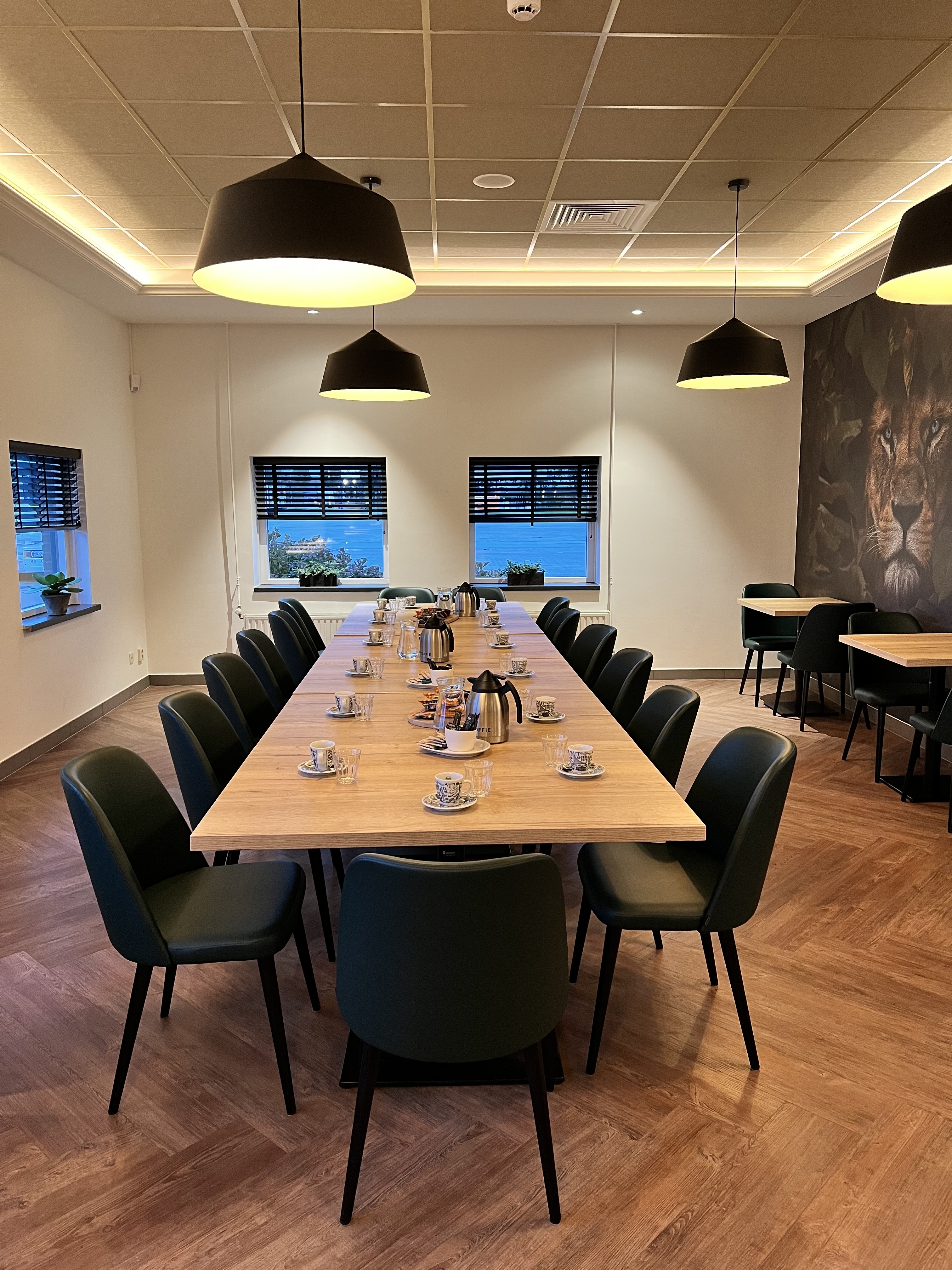 IMG_7371.jpeg IMG_7371.jpeg